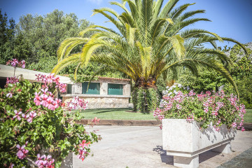 Quinta Para Casamentos Sintra | Casamentos em Sintra